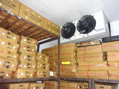 Evaporator Unit for Cold Room 18"X2 fan