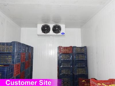 Evaporator Unit for Freezer Room 12"X02 Fan