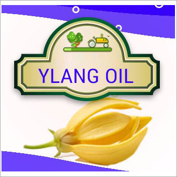 Ylang Oil