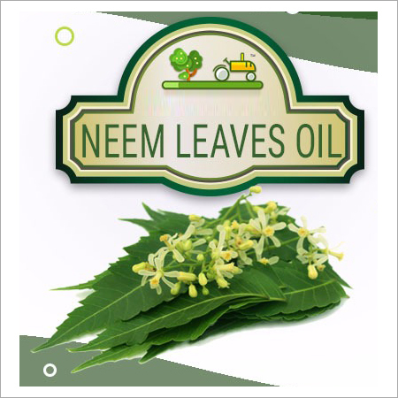 Neem Leaves Oil