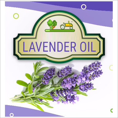 Lavender Oil