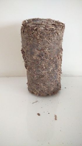 Industrial Bio Coal