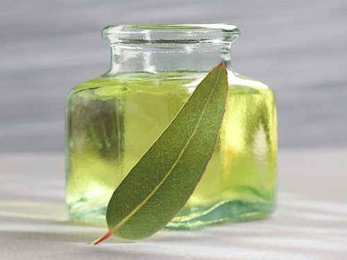 EUCALYPTUS OIL