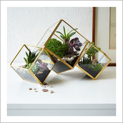 Brass Finish Glass Terrarium
