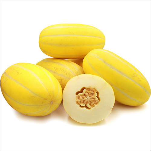 Yellow Melon