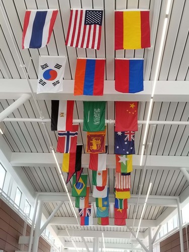 Ceiling Hanging Flag