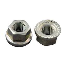 Bicycle Nuts