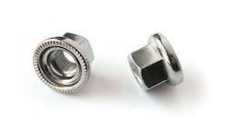 Hub Nuts