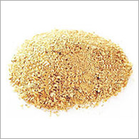 Corn Germ
