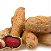 Peanuts