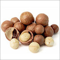Macadamia Nuts By BNJY ENTERPRISE