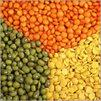 Green- Red- Brown- Yellow Lentils