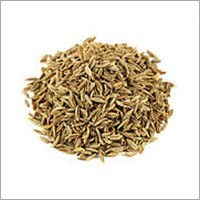 Cumin Seed