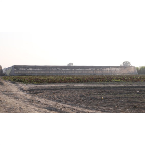 Polyhouse Consultancy Services