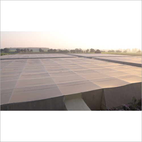 Polyhouse Development Consultant - High-Grade Steel Frame, Variable Size, White | Expert Design, Cost Reduction, Timely Delivery