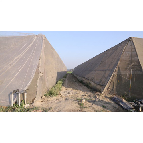 Polyhouse Setup Services - Galvanized Steel Frame, Variable Size | Increased Yield, Expert Consultation, Custom Design, Net House, Drip/Sprinkler System