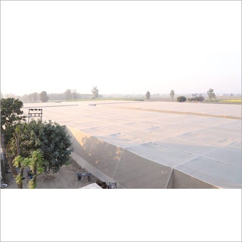 Polyhouse Development Services