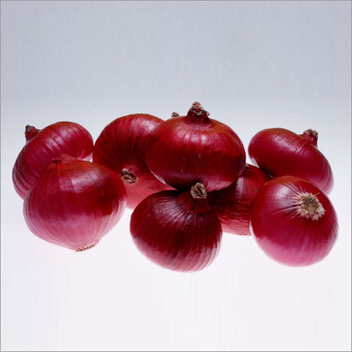 Fresh Onion Fresh Onion