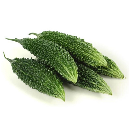 Fresh Bitter Gourd