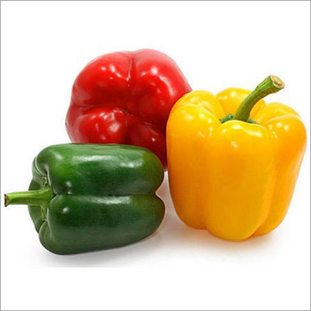 Fresh Capsicum