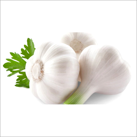 Fresh Garlic