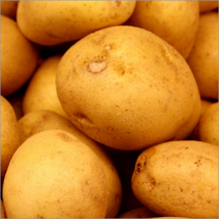 Fresh Potato