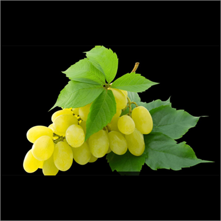 Fresh Green Grapes Fresh Green Grapes