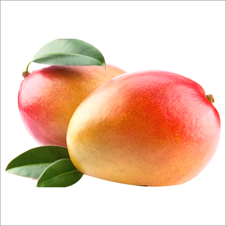 Fresh Mango
