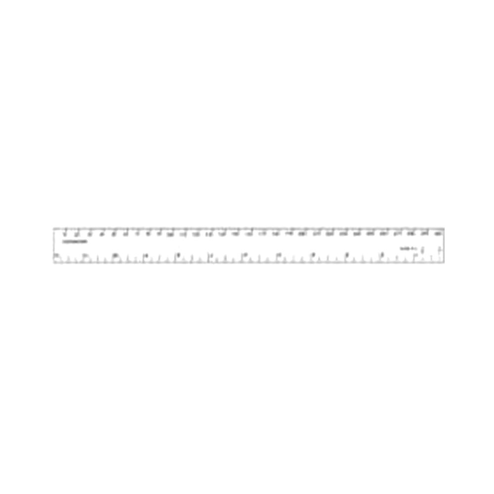 Student Scale