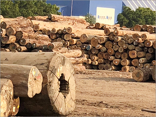 Meranti Wood Logs