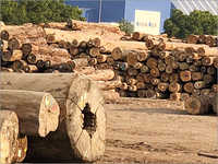 Meranti Wood Logs