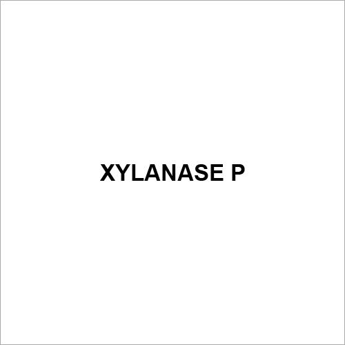 Xylanase P