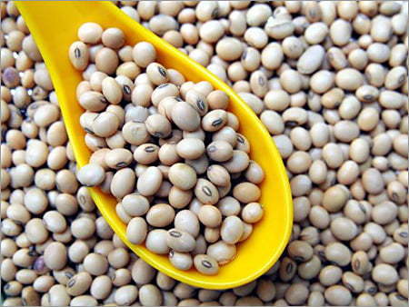 Soybean Seeds