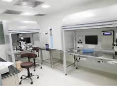 IVF Lab setup