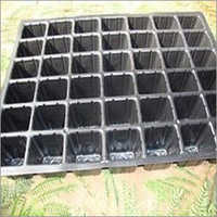 42 Cavity Sugar Cane Tray