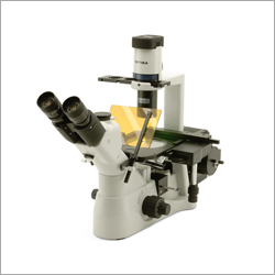 Inverted Fluorescent Microscope
