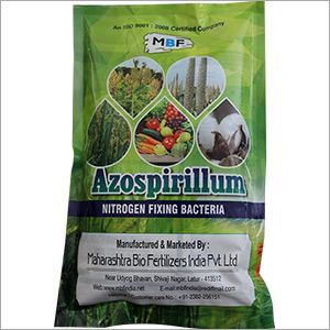 Azospirillum
