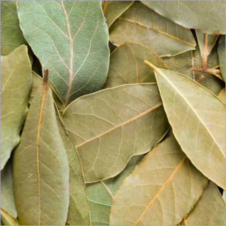 Tej Patta (Bay Leaf)