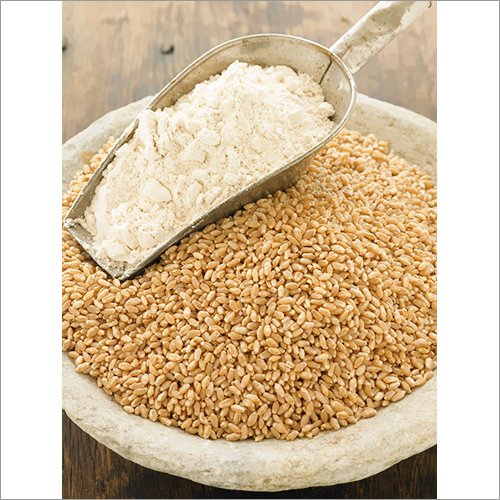 Whole Wheat