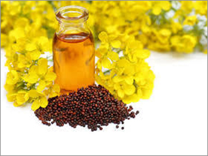 Fresh Mustard Seed Oil