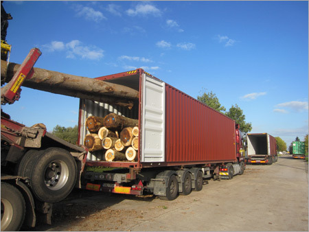 Poplar Logs