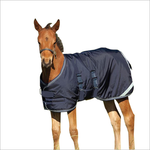 Horse Summer Rug
