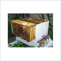 Bee Box