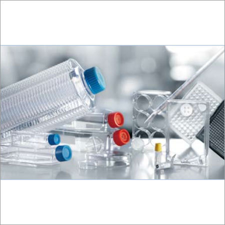 Cell Culture
