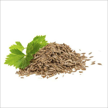Cumin Seed Oil