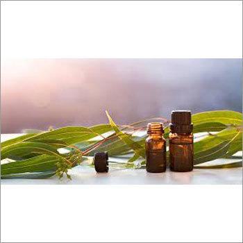 Pure Eucalyptus Oil