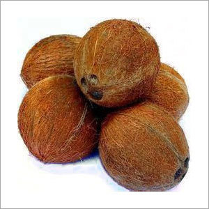Pollachi Coconut