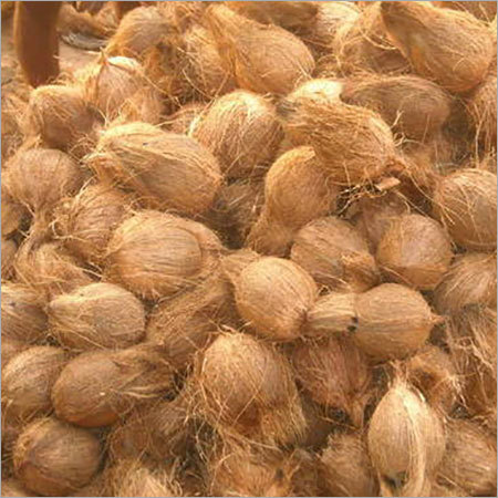 Fresh Pollachi Coconut - Round Shape, Brown Color | Nutrient-Rich Freshness with Essential Vitamins and Minerals