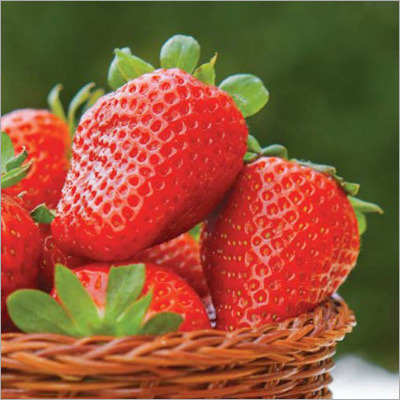 Strawberry Preservation