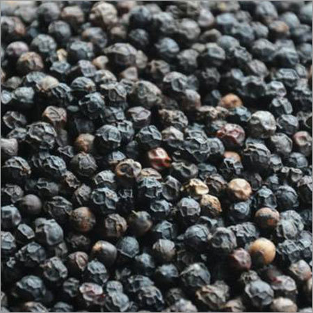 Black Pepper